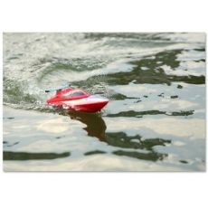 Remote Control Boats