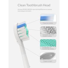 Electric Toothbrush